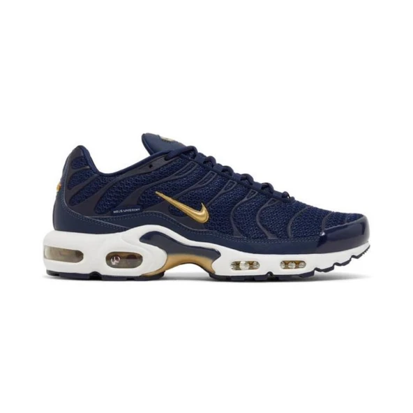 Nike Air Max TN Blue Gold ürün görseli 1