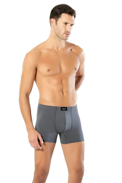 Arseno Erkek Bambu Boxer Renk ve Desen Çeşitli Gri 6'lı Paket - Gri - ARSNOKOCTAJ10Q07-GRI ürün görseli 1