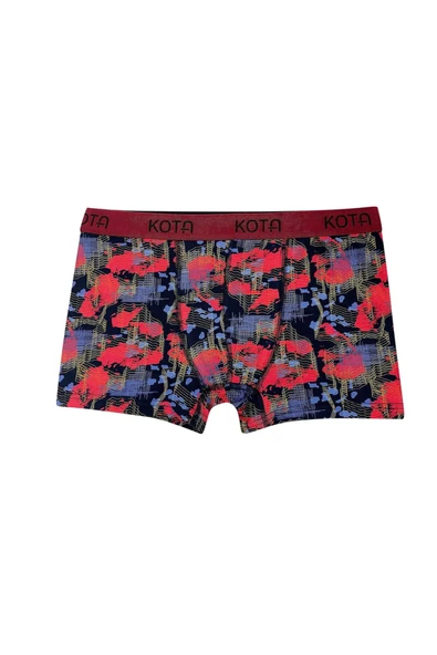 Arseno Erkek Renk ve Desen Baskı Çeşitli Penye Boxer 6'lı Paket - Çoklu Renk - ARSNOKOZTAD10H15-COK ürün görseli 1