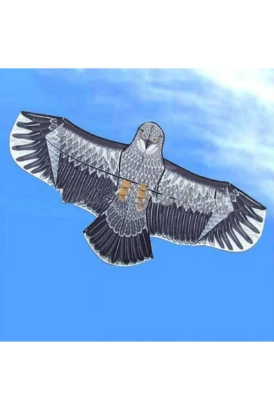 Kuş Desenli Kartal Uçurtma - Fiber Kartal Uçurtma 45x110 Cm ürün görseli 1