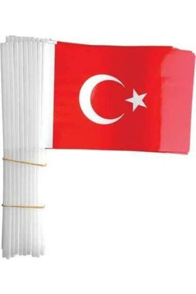 TİFOYS Vatan Battal Boy Çıtalı Kağıt Türk Bayrağı 40 Lı ürün görseli 1