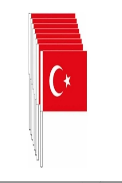 TİFOYS Veliday Vatan Küçük Boy Çıtalı Kağıt Türk Bayrağı 80 Lü ürün görseli 1