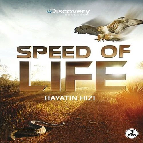 Speed Of Life - Hayatın Hızı ürün görseli 1