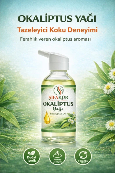 Şifakür Okaliptüs Yağı %100 Saf Doğal Aromaterapi Ortam Kokulandırma 20ml ürün görseli 1