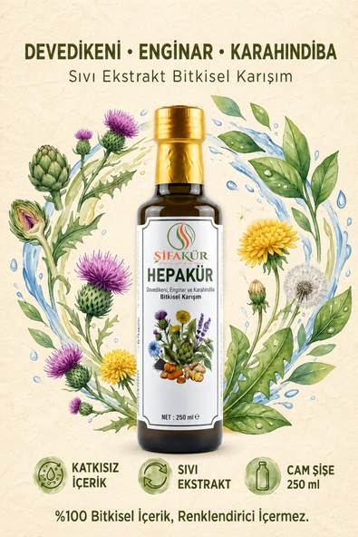 Şifakür Hepakür Sıvı Ekstrakt Devedikeni Enginar Karahindiba Bitkisel Karışım 250 ml ürün görseli 1