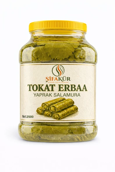 Tokat Erbaa Salamura Asma Yaprağı 2500g – İnce Damar, İpeksi, Sarmalık Premium Kalite Yaprak ürün görseli 1
