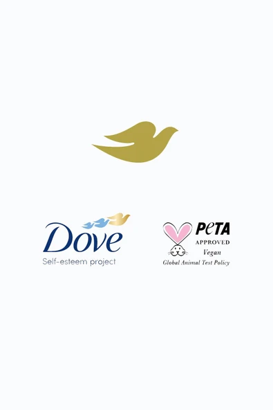 Dove Gingerbread Delight Vücut Spreyi 237ML - Resim 4