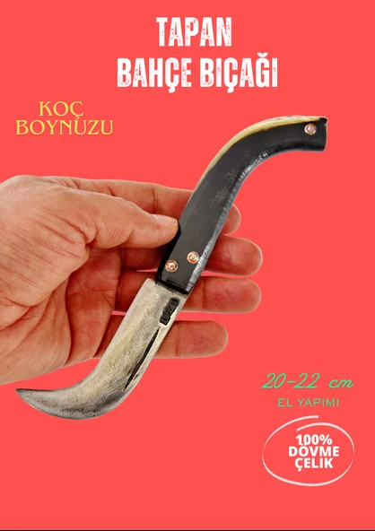 Tapan Ters Aşı Bıçağı 20-22 cm Koç Boynuzu Kara Çelik ürün görseli 1