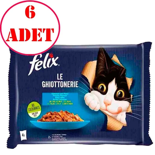 Felix Multipack Somonlu ve Ton Balıklı Yetişkin Kedi Yaş Maması 4x85 Gr 6 AD ürün görseli 1
