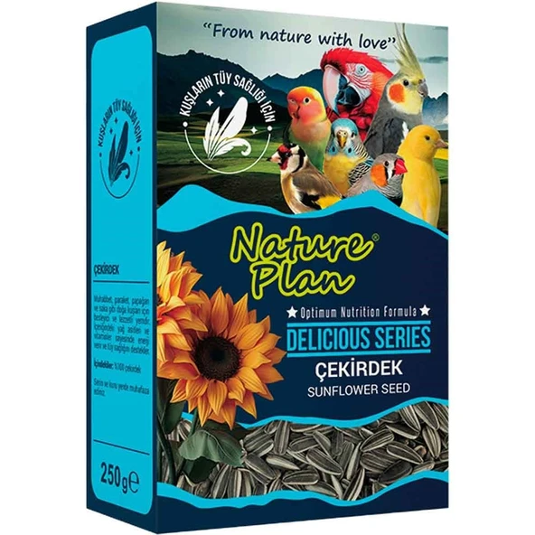 Nature Plan Delicious Serisi Çekirdek 250 Gr ürün görseli 1