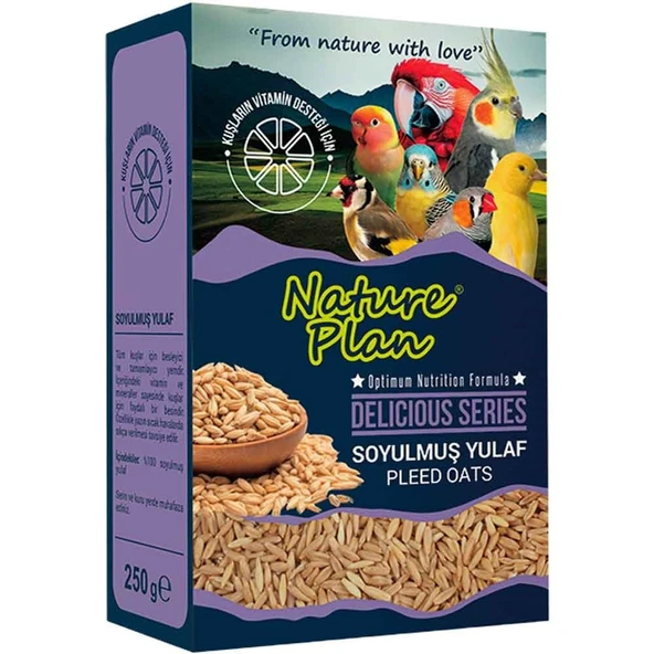 Nature Plan Delicious Serisi Soyulmuş Yulaf 250 Gr ürün görseli 1