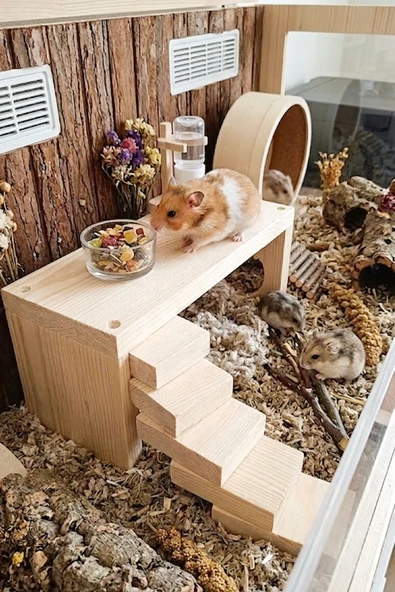 Doğal Ahşap Hamster Platformu & Oyun Alanı 25x11x10 cm - Kemirgen Ara Kat Yuvası ürün görseli 1