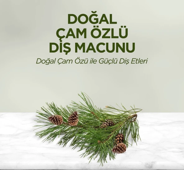 Doğal Diş Macunu 90 Gr Çam Özlü ürün görseli 1