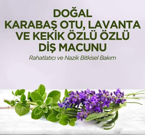 Doğal Diş Macunu 90 Gr Karabaş Otu & Lavanta ve Kekik Özlü ürün görseli 1