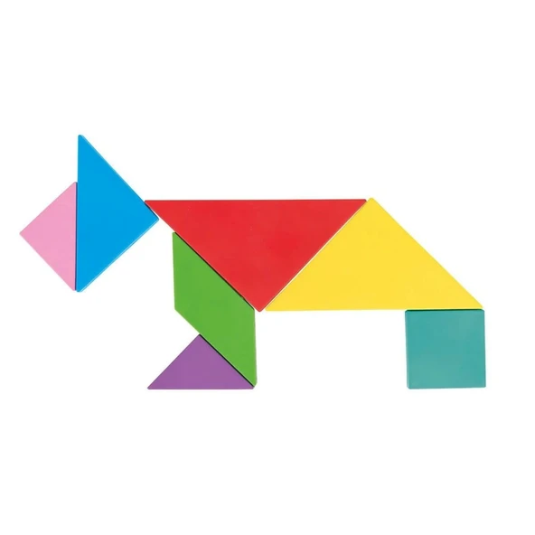 03 569 Ahşap Manyetik Tangram -NessiWorld Oyuncak ürün görseli 1