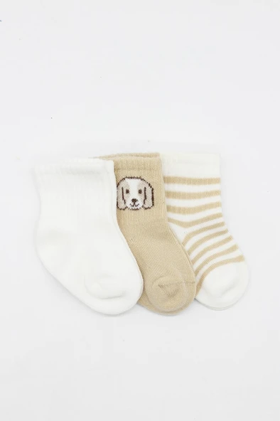 Bistyle Dog Boy 3'lü Penye Soket Çorap 10134 Ekru ürün görseli 1