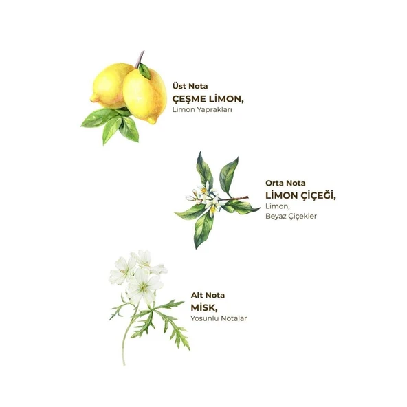 Kolonya Pet Şişe Sprey 150 ml Çeşme Limonu ürün görseli 1