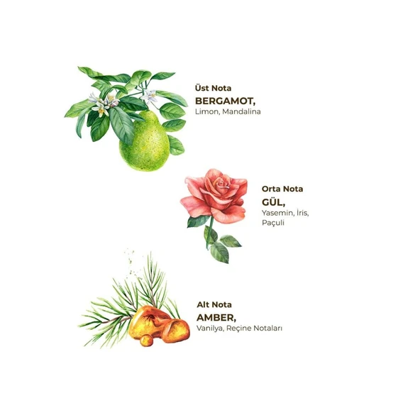 Kolonya Pet Şişe Sprey 150 ml Amber ürün görseli 1