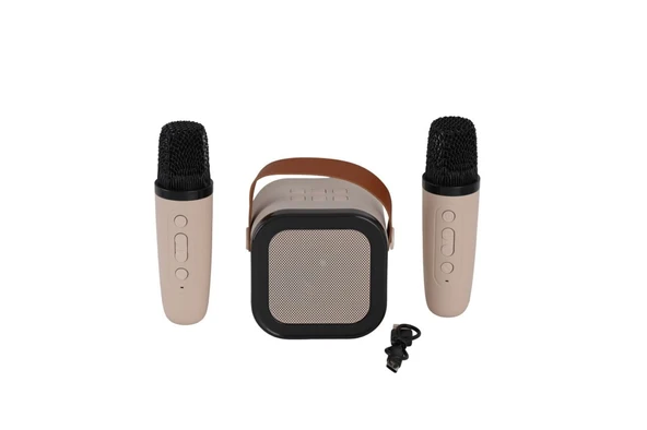 EMR-102 KUTULU 2Lİ KARAOKE MİKROFON ürün görseli 1
