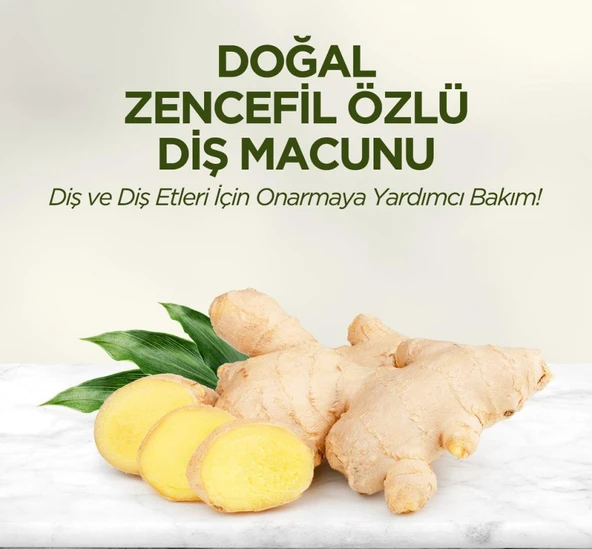 Doğal Diş Macunu 90 Gr Zencefil Özlü ürün görseli 1