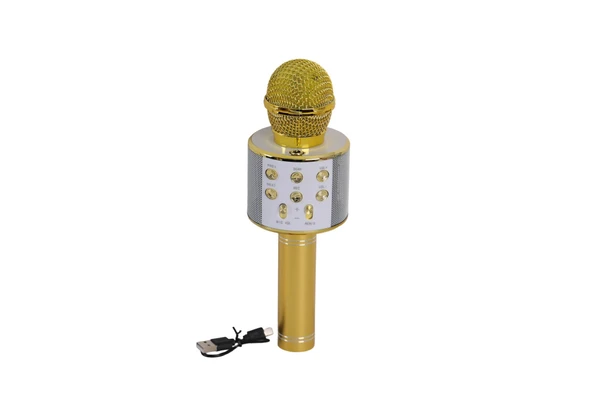 EMR-101 KUTULU KARAOKE MİKROFON - Resim 2