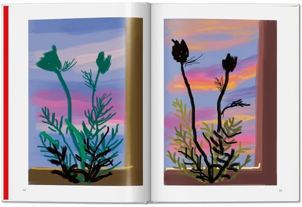 Taschen David Hockney. My Window - Resim 6