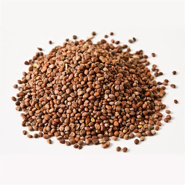 Turp Tohumu (Kg) ürün görseli 1