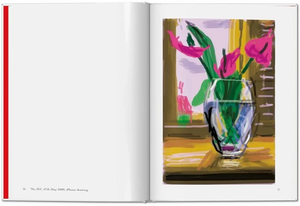 Taschen David Hockney. My Window - Resim 5