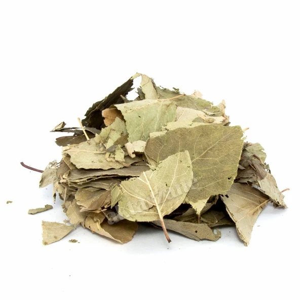 Ayva Yaprağı 50 Gr ürün görseli 1