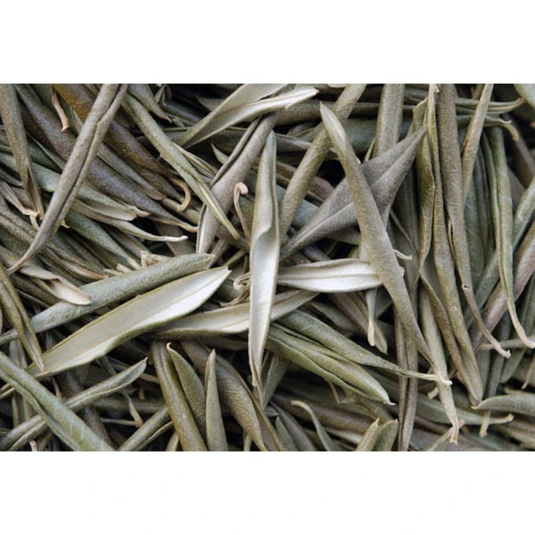 Zeytin Yaprağı 50 Gr ürün görseli 1