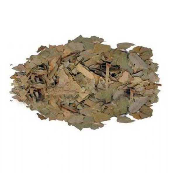 Avakado Yaprağı 50 Gr ürün görseli 1