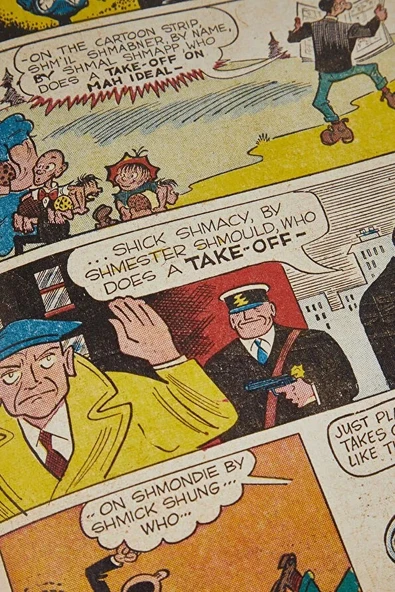 TASCHEN The Stan Lee Story - Resim 5