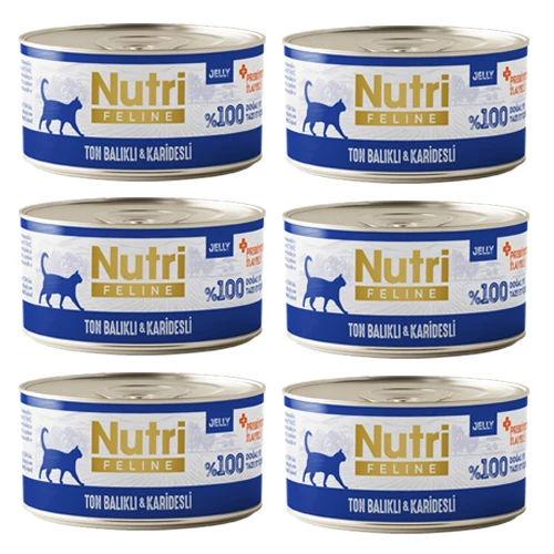 Nutri Feline Adult Jelly 70Gr Ton Balıklı & Karidesli 6 Adet Yaş Yetişkin Kedi Maması ürün görseli 1