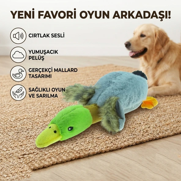 Pelüş Ördek Tasarımlı Vinil Sesli Köpek Isırma ve Oyun Oyuncağı ürün görseli 1