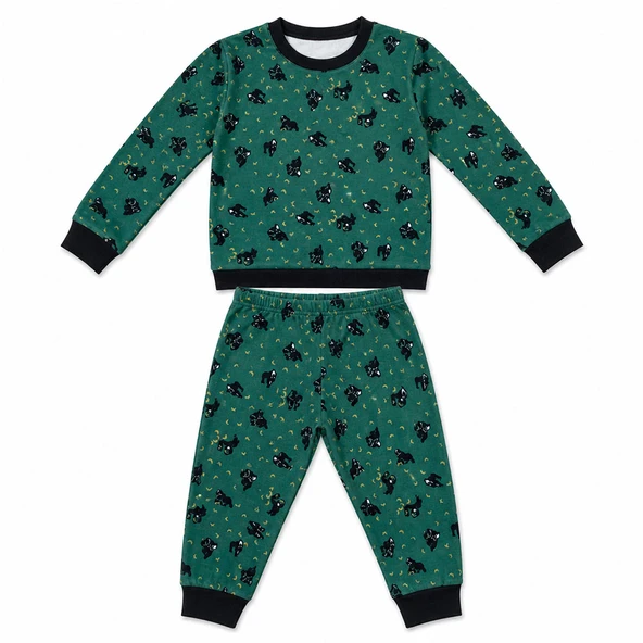 2 Yaş Erkek Çocuk Pijama Takımı ürün görseli 1