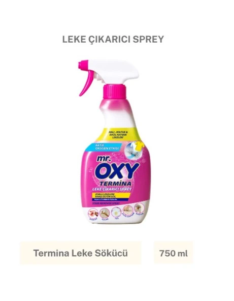 MR.OXY Mr. Oxy Termina Leke Çıkarıcı Sprey 750 ml ürün görseli 1