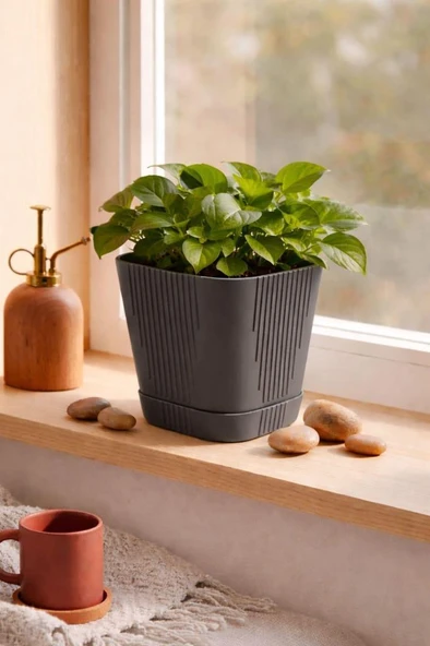 Omnipazar SO-ZB03 Zambak Dekoratif Plastik Saksı 3.4 Litre No:3 - Resim 8