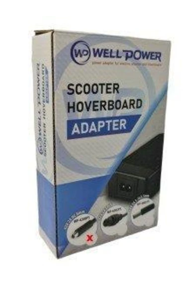 Scooter Hoverboard Şarj Adaptörü Wellpower 42v 2amp Dc 8mmp-4 - Resim 6