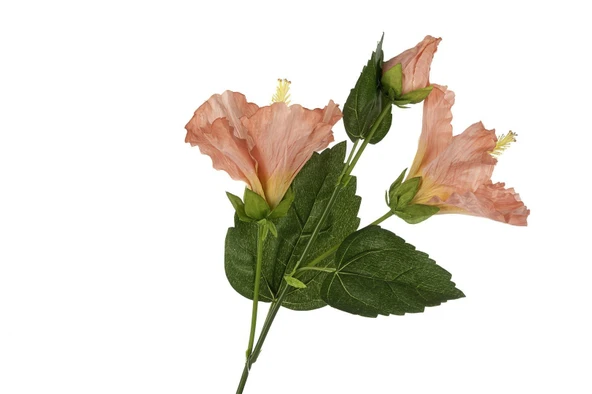 Mikasa Moor Frezya Pembe Yapay Çiçek 70cm ürün görseli 1
