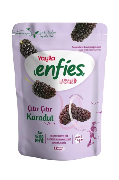 Yayla Enfies Freeze Dried Dondurularak Kurutulmuş Çıtır Meyve Karadut 15gr ürün görseli 1