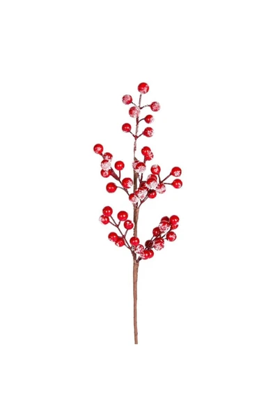 Yılbaşı Çiçeği Pike Berry Karlı Kırmızı 40 Cm ürün görseli 1