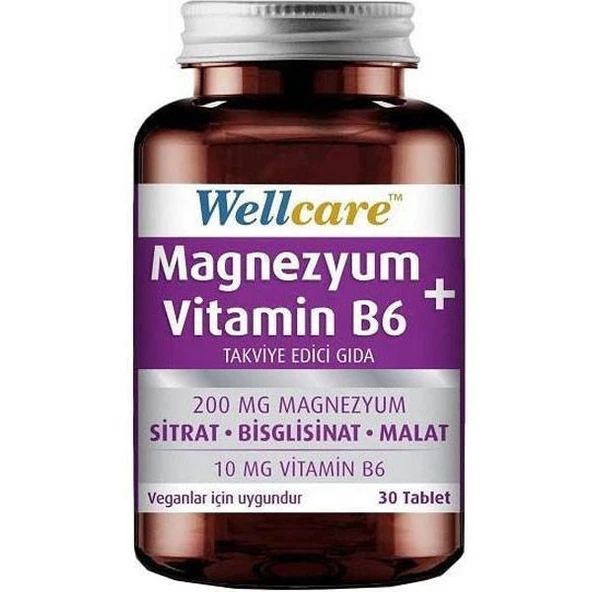 Wellcare Magnezyum + Vitamin B6 Takviye Edici Gıda 30 Tablet ürün görseli 1
