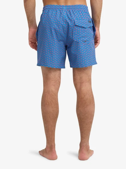 Quiksilver STRETCH PRINTED Erkek Şort EQYJV04217-QK.BLC2 - Resim 6