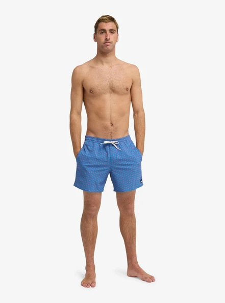 Quiksilver STRETCH PRINTED Erkek Şort EQYJV04217-QK.BLC2 - Resim 5