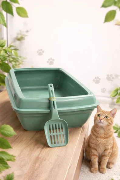 PATİVİTA AÇIK KEDİ TUVALETİ KÜREK HEDİYELİ ürün görseli 1