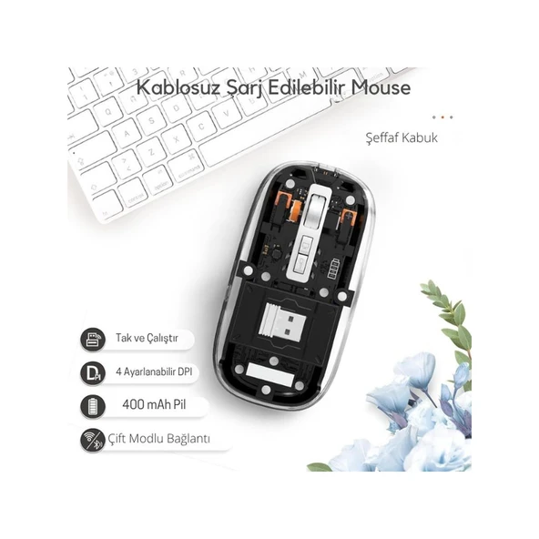 Siyah 501 Bt+ Wireless Mouse ZR1133 ürün görseli 1