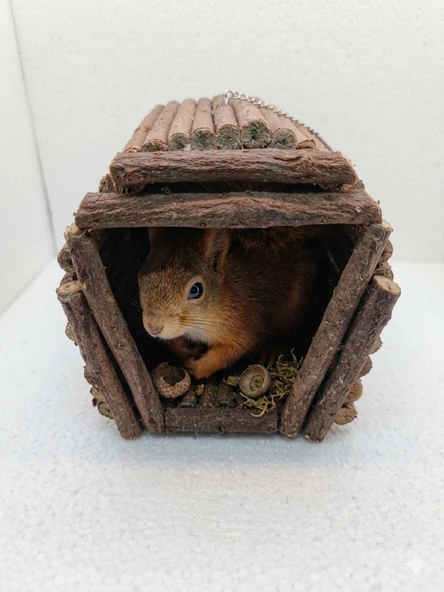 YUVA. HAMSTER.KUŞ. SİNCAP YUVASI ürün görseli 1
