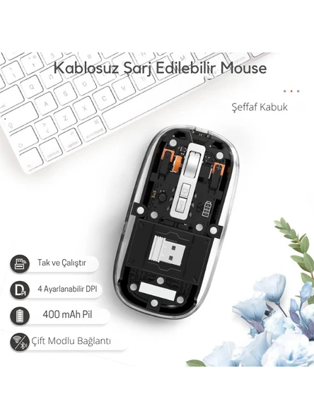 Siyah 501 Bt+ Wireless Mouse ZR1133 ürün görseli 1