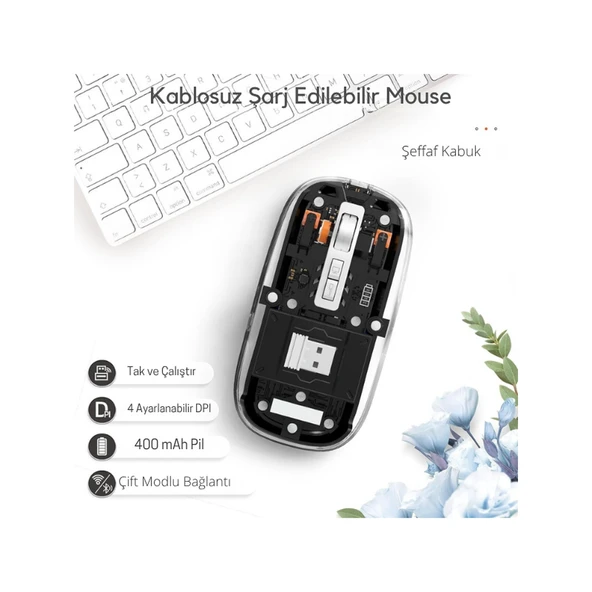 Siyah 501 Bt+ Wireless Mouse ZR1133 ürün görseli 1