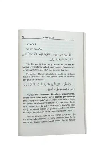 Kudüsü Şerif Şamı Şerif Mısır - karton kapak - Resim 2